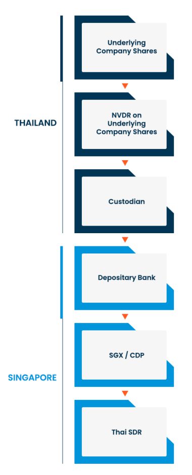 SDRProcessInfographic